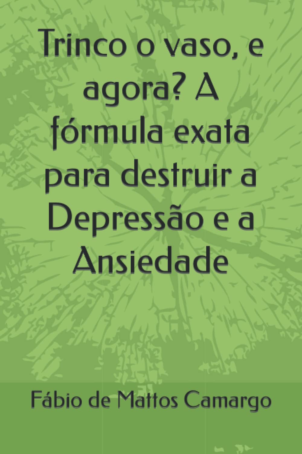Trinco o vaso, e agora? A fórmula exata para destruir a Depressão e a Ansiedade (Portuguese Edition)