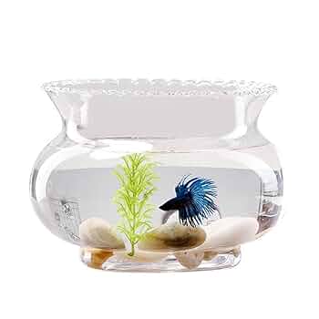 新品未使用 シュプリーム 金魚鉢 fishbowl ガラス 花瓶 新品未使用 シュプリーム 金魚鉢 fishbowl ガラス 花瓶 2025年