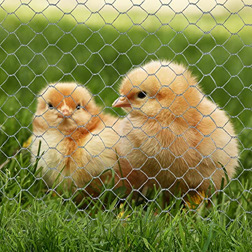 Tenax Examet 10, Rete Metallica Zincata 1,00X10 M Argento Per Gabbie E Recinti Di Animali Da Cortile (Polli, Conigli, Uccelli), Piccole Recinzioni E Lavori Artigianali - 4