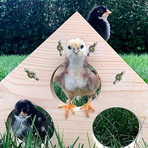 Image of Chicken Perch Wood Stand with Holes Chick Stand Trainning Perch Hen Roost bar for Chicks Poultry Swing Jungle Gym Chicken Toy for Hens