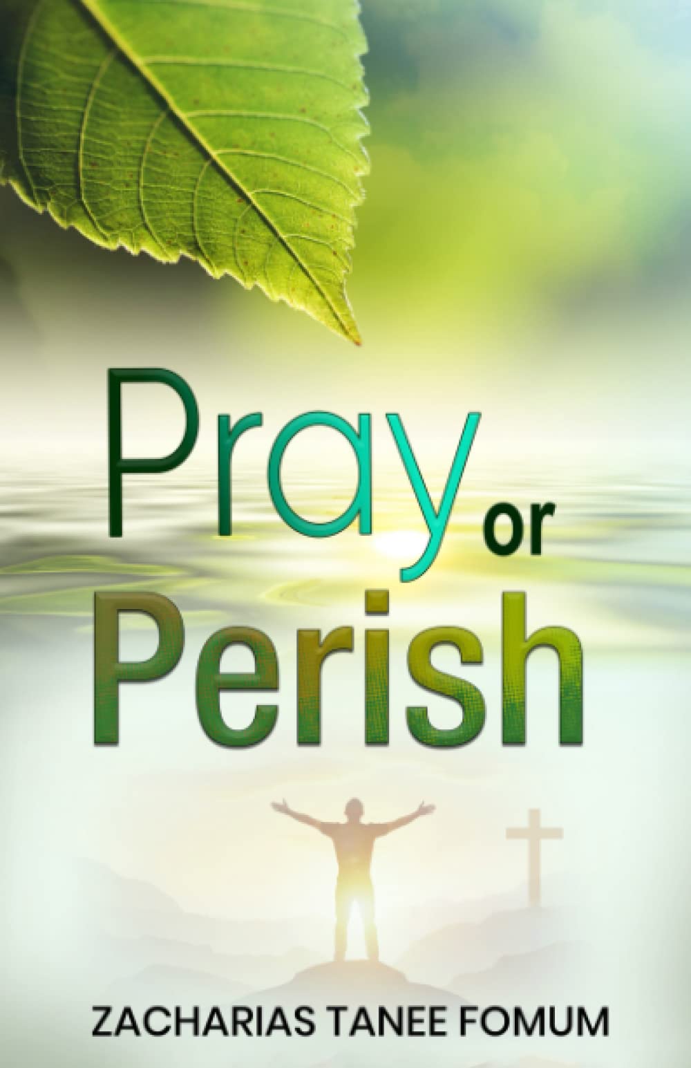 Pray or Perish (Prayer Power Series)
