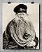 Quirky Kitten Hiding in Old Mans Giant Beard Bizarre Strange Weird Vintage Photo - 11x14 Unframed Print - Perfect Vintage Home Decor Under $15