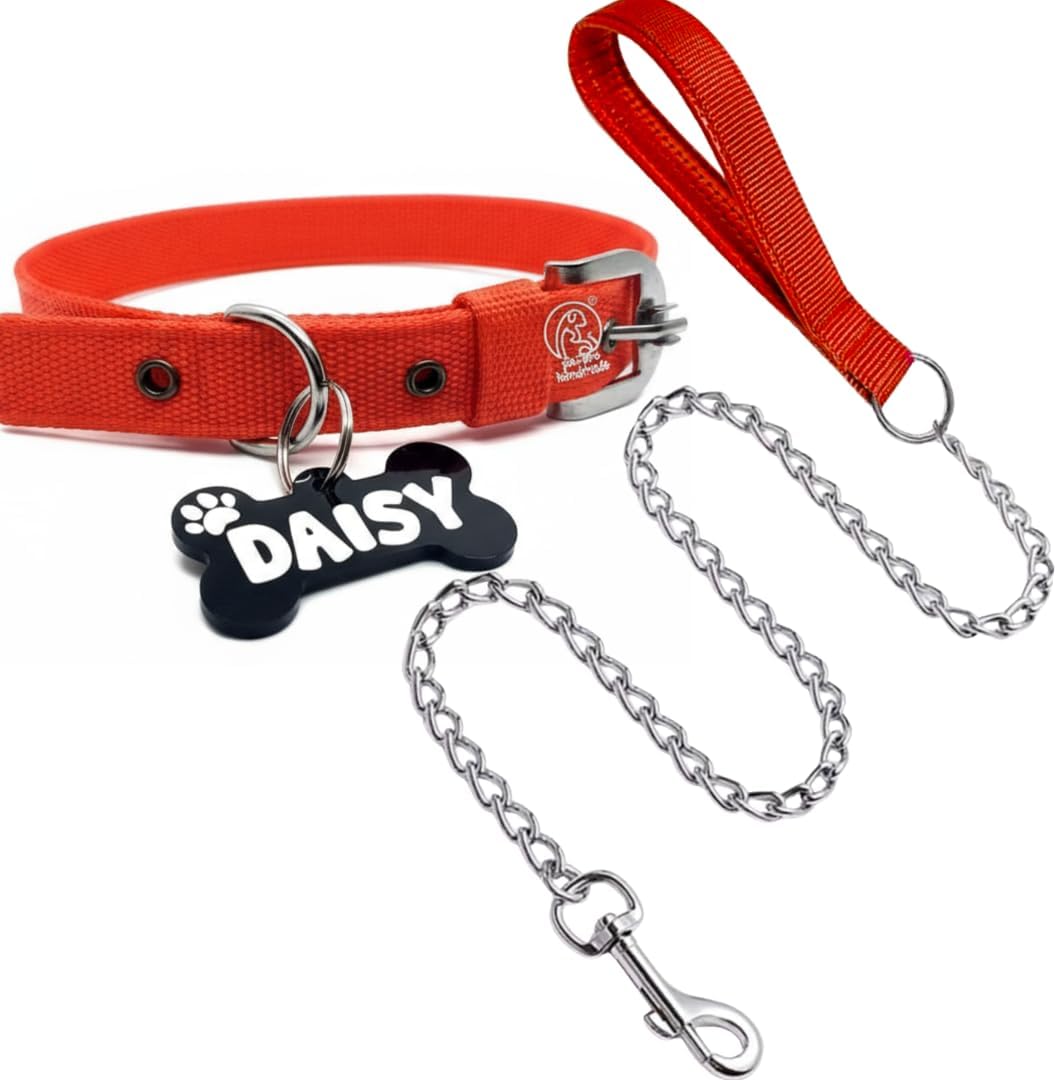 Personalized Name Tag ID Dog Collar and Leash Set for Dogs, from Large to Small Puppies (Small, Red) ?20L x 10W cms