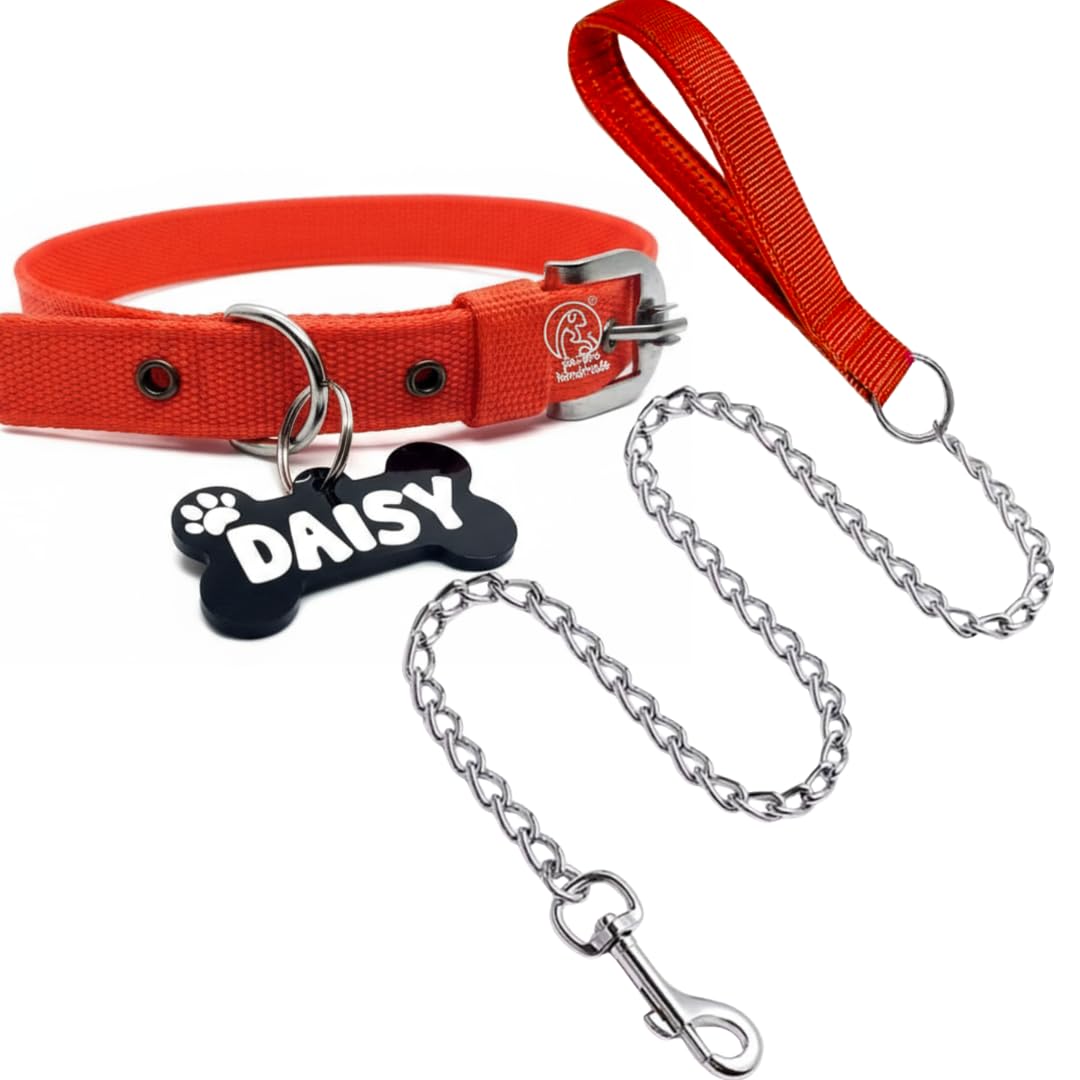 Personalized Name Tag ID Dog Collar and Leash Set for Dogs, from Large to Small Puppies (Small, Red) ?20L x 10W cms