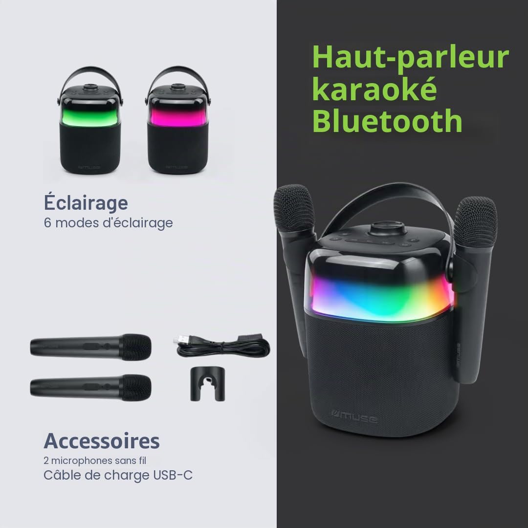 Enceinte Bluetooth Karaoké Noir - M530KA