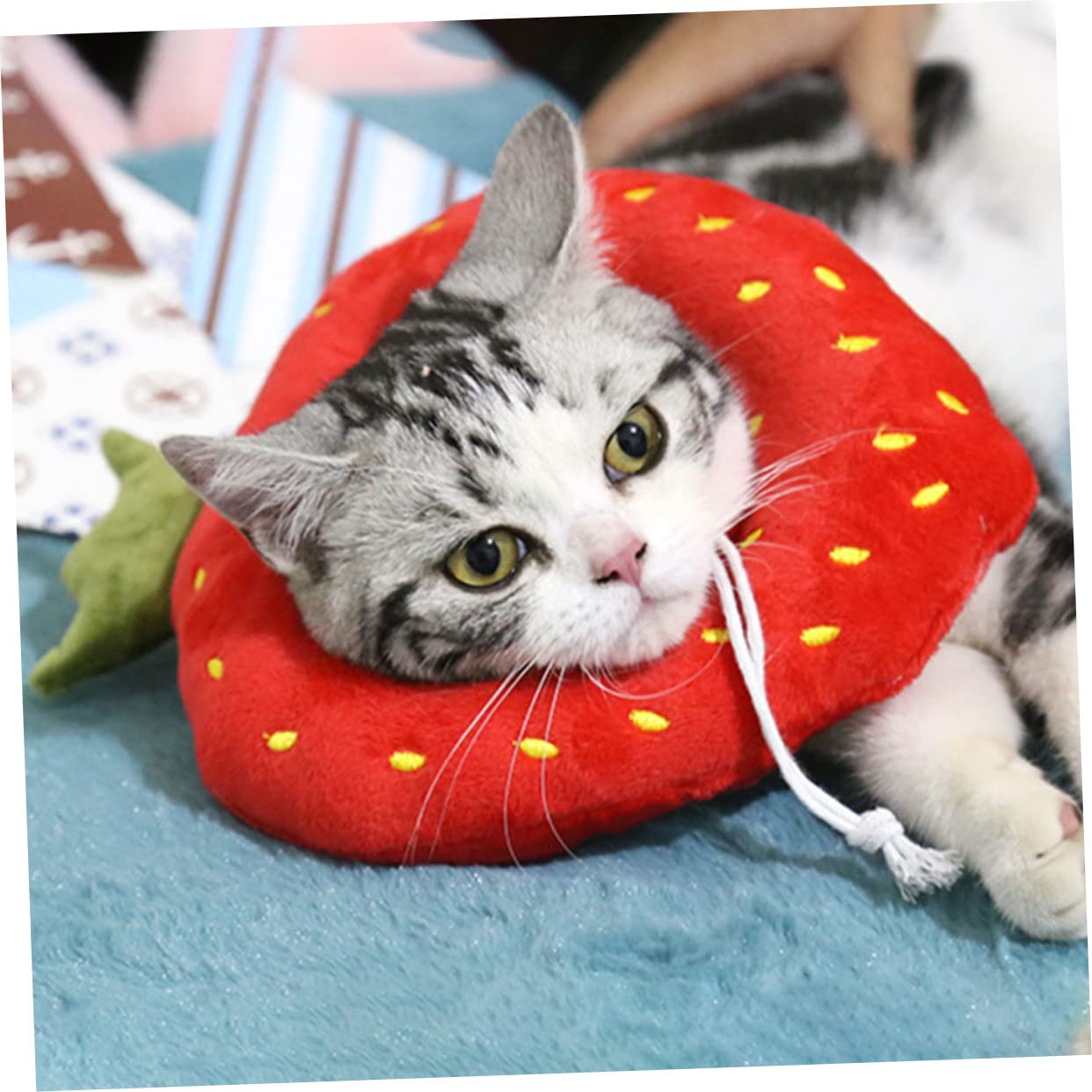 VANZACK 6pezzi Collare Protettivo Regolabile Per Gatti e Cani Cono Per Post-operazione Design Sicuro