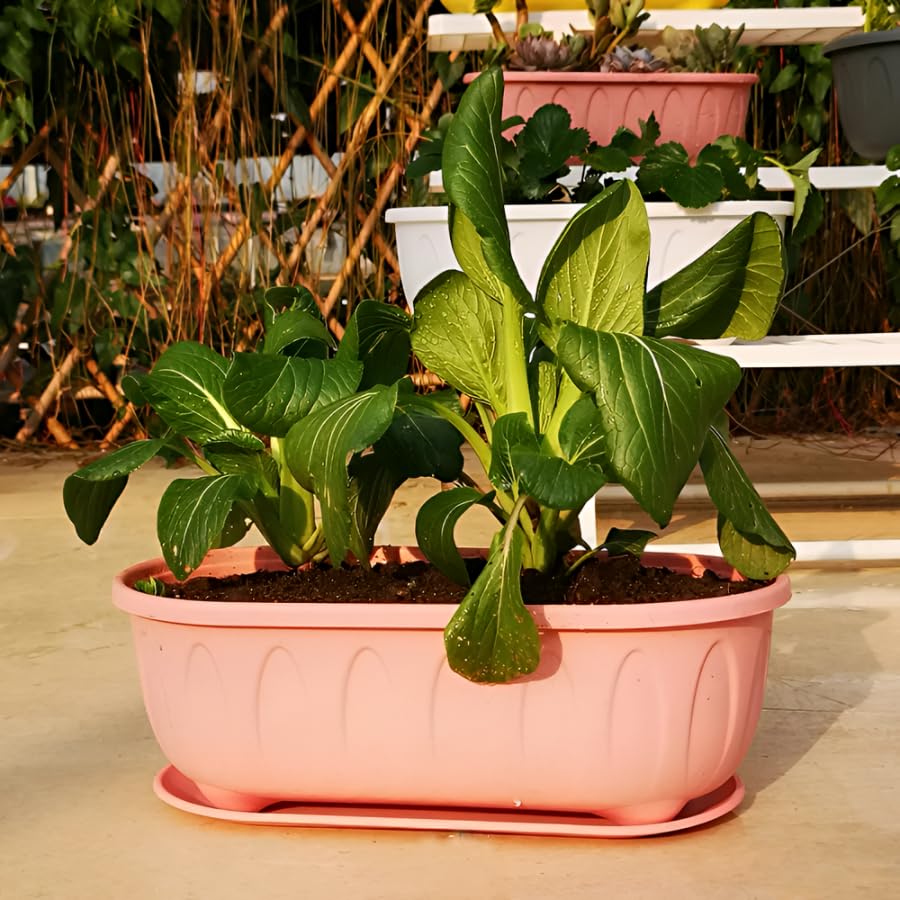 Image of Plastic Rectangle Round Corner Flower Pots with Drainage Hole Saucers Durable Outdoor Indoor Planters with Tray Plant Containers for Balcony, Garden, Home & Office (Pink, 5)