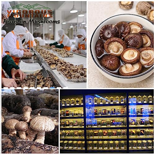 Vigorous Mountains Dried Shiitake Mushrooms For Cooking thumb #2