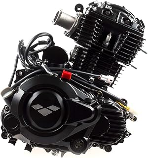 125cc Motorcycle Engine SK157FMI-D compatible with Lexmoto Venom EFI SK125-22-E4/Viper 125 SK125-22A,Romet Division 125 SK125-22 (ROMET)