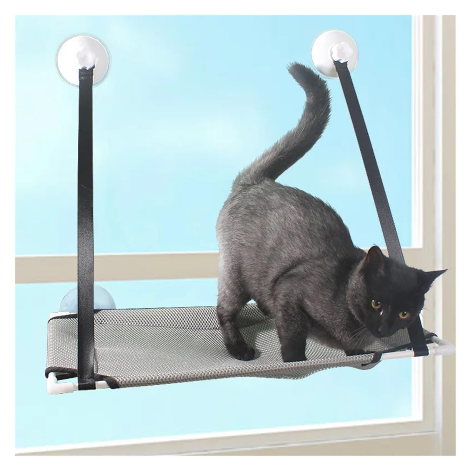 Hamak dla kota Pet letni hamak łóżko z oknem w domu salon przyssawka bezpieczna ściana wisząca siatka zwierząt oddychająca Stabilny I Wygodny(Single gray)