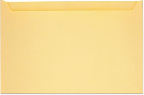 Quality Park 63872 - Archivadores de papel, 5 pulgadas x 8-1/8 pulgadas, 28 lb Manila, Buff, 500/caja