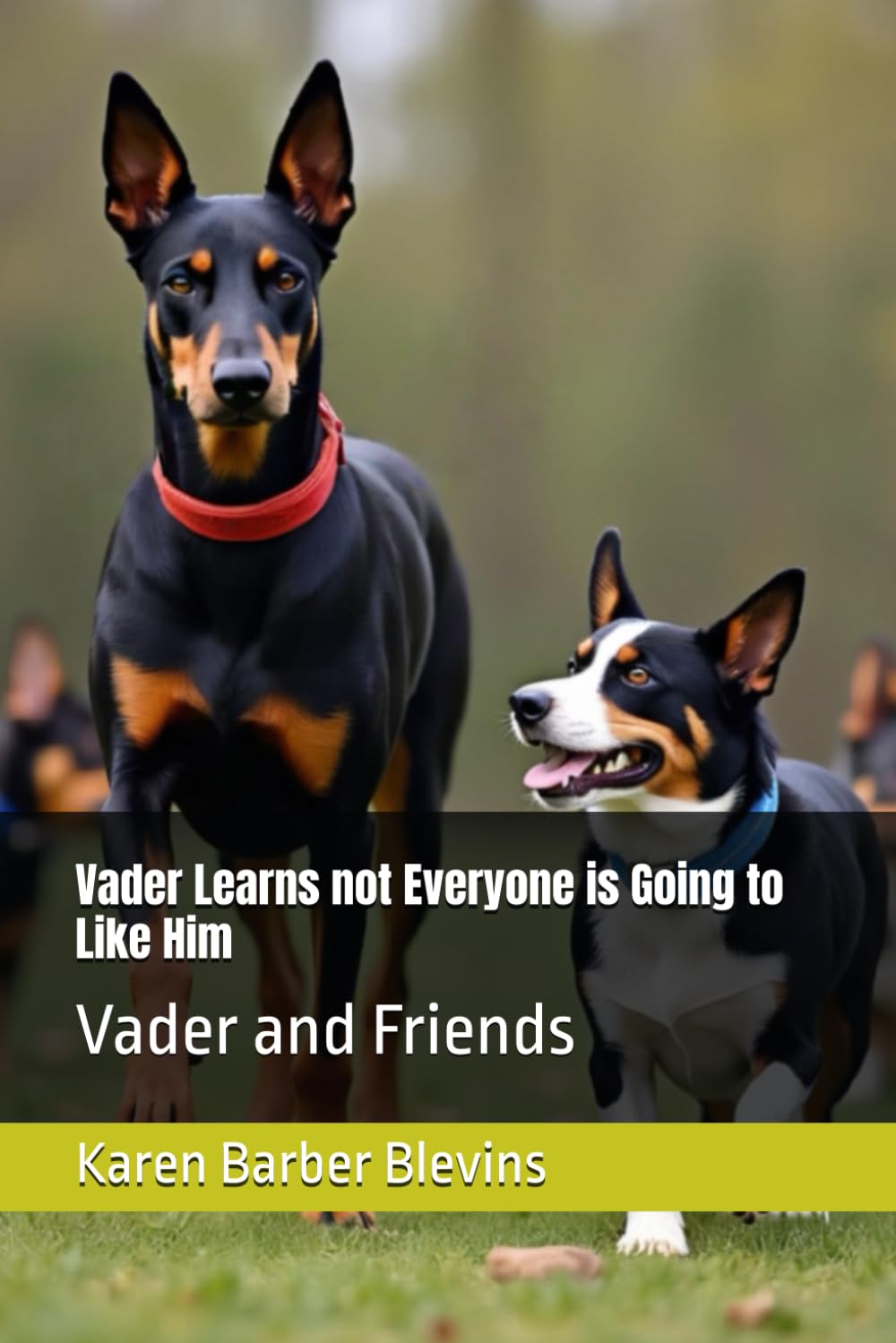 Vader Learns not Everyone is Going to Like Him: Vader and Friends