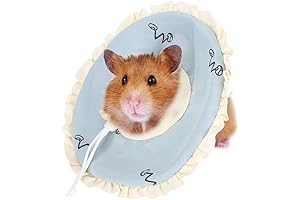 Guinea Pig Cone Collar With Soft Padded Edges