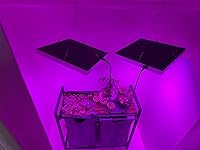 Review Image by Reece Strain Reece Strain