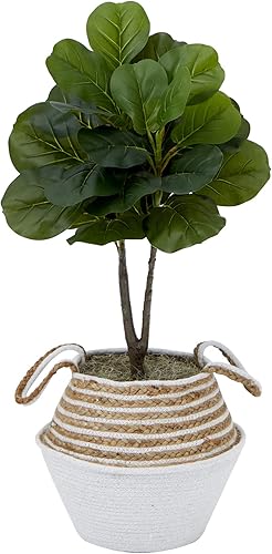 Higuera artificial de hoja de violín de 3 pies con cesta tejida de algodón y yute hecha a mano