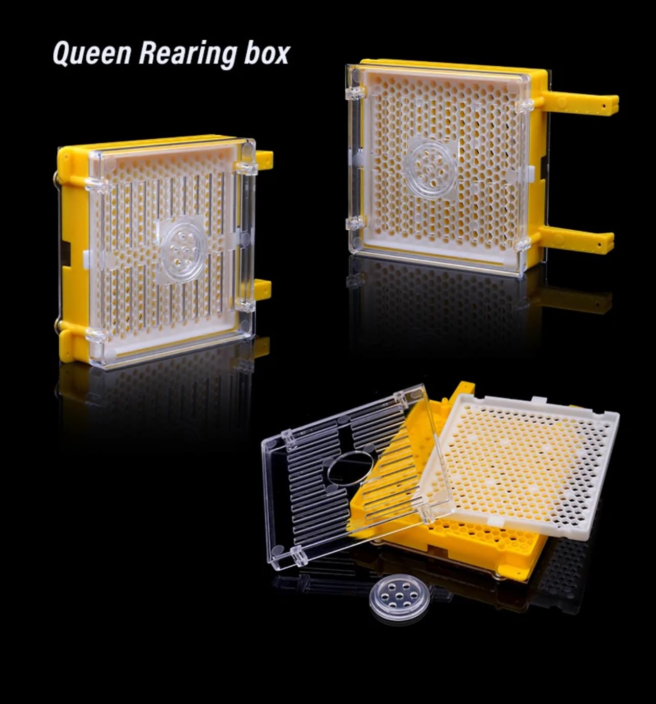 Queen Rearing System