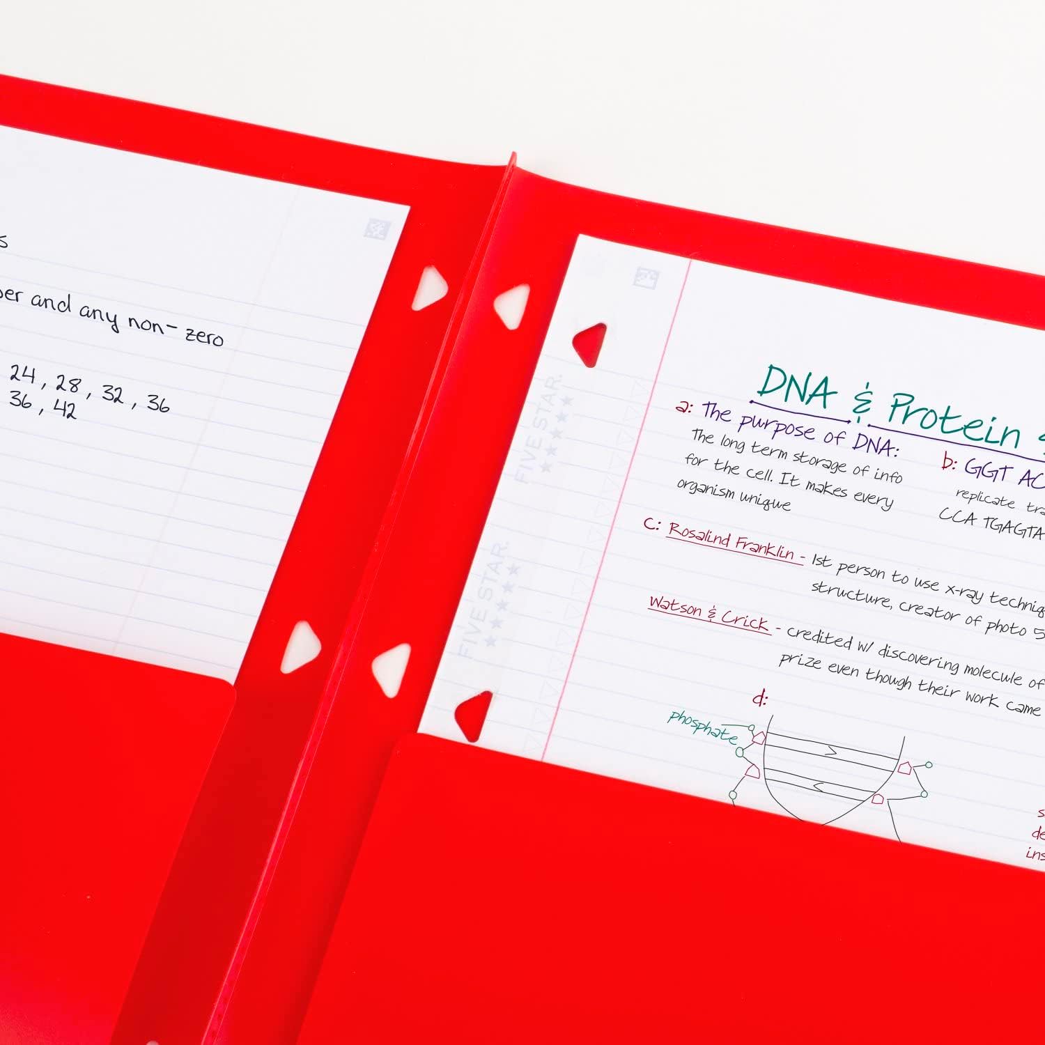 Five Star Pocket Folder + Study App, 4 Pack, 2 Pocket Folder, Customizable Cover, Fits 3 Ring Binder, Black, Pacific Blue, Fire Red, Forest Green (330092A-ECM)