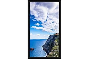 Premium 4x8 Black Picture Frame