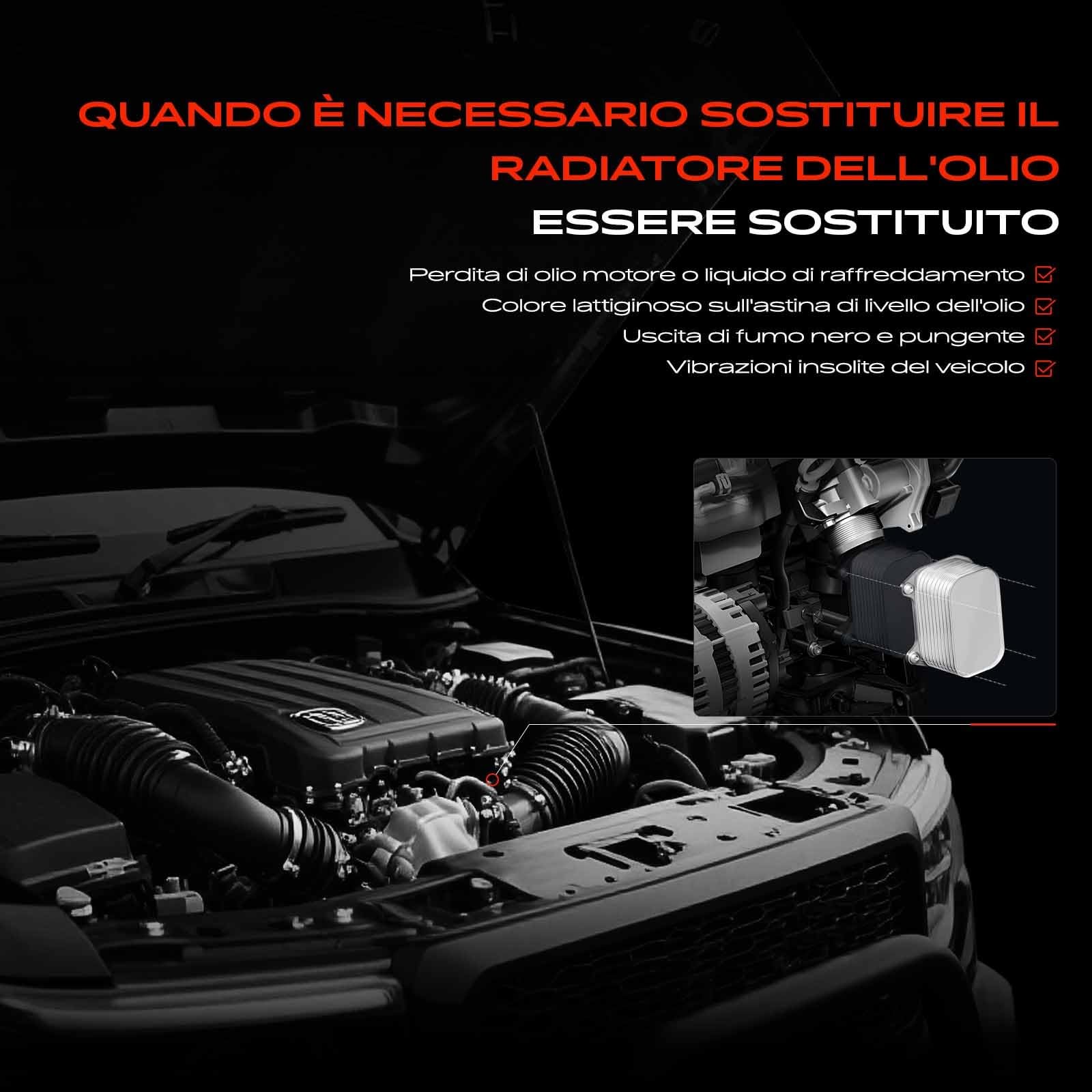 Frankberg Radiatore dell'olio Compatibile con 4 Coupé G22 G82 M4 CSL Serie 3 Touring G21 G81 M3 Competition xDrive Serie 3 G20 G28 G80 M3 Serie 3 G20 G28 G80 M3 Competition 17118095293