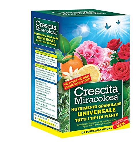 Crescita Miracolosa Concime Universale granulare 450 gr Nutrimento, Verde, 11.5x6.5x19.5 cm
