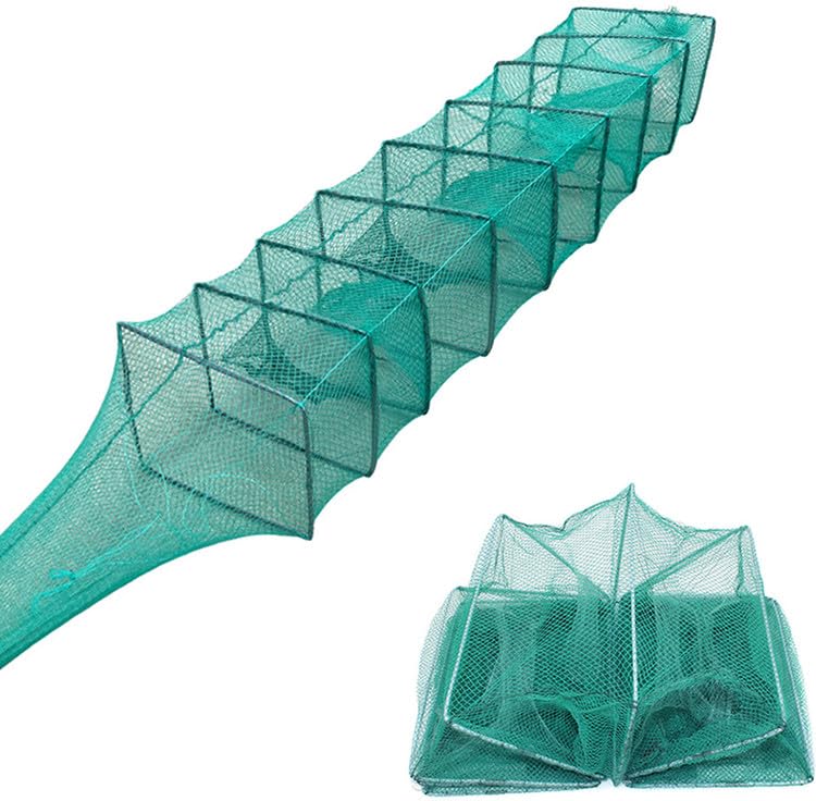 Buy DFN10 Feet Long Imported Foldable Fishing Net Trap, 3m, 14 Sections,  4mm Mesh, Catch Bait, Fish, Shrimp, Crawfish & Crab (Green) Online at Low  Prices in India - Amazon.in