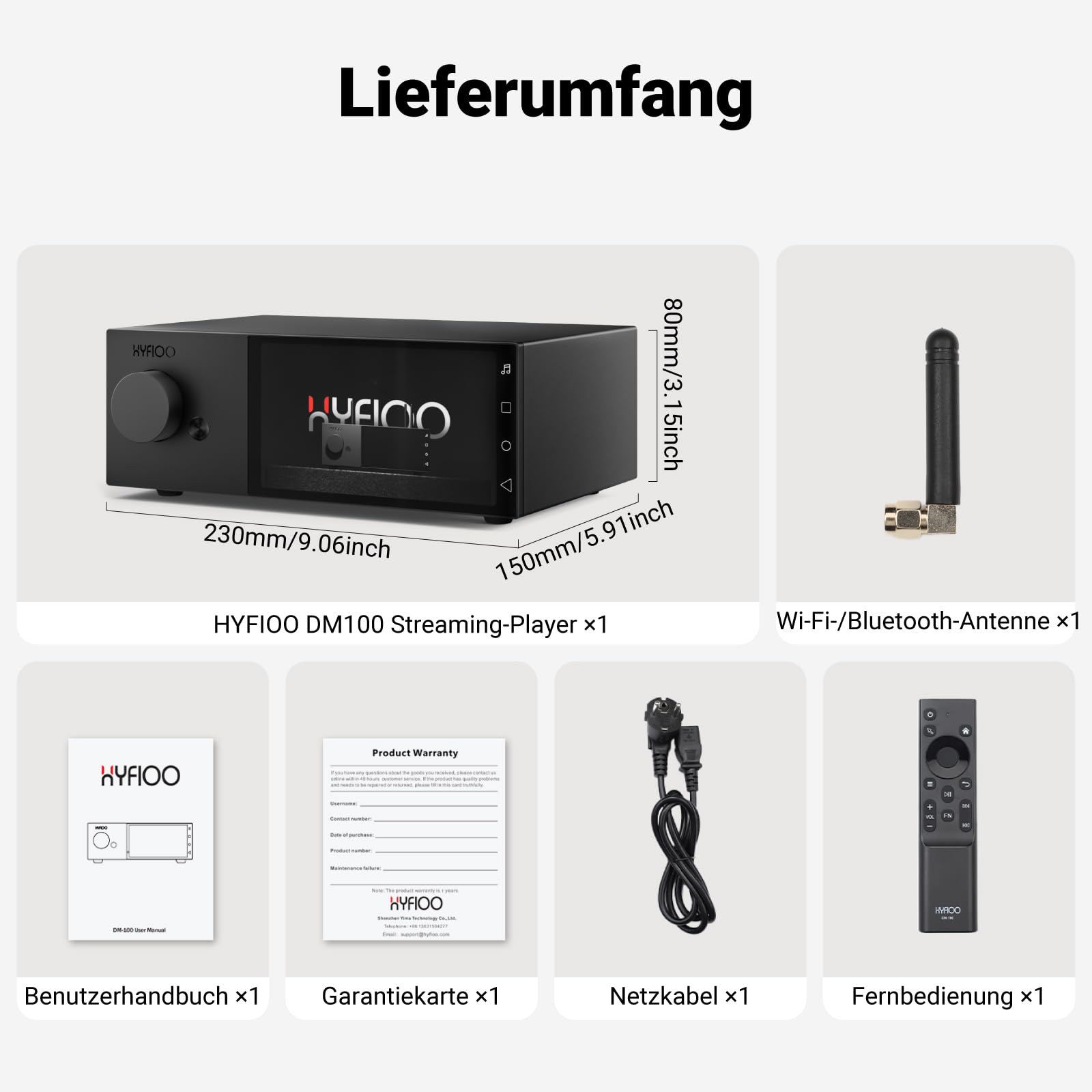 DM100 HiFi Musik-Streamer & Digital Audio Player, 5,5" Touchscreen, WiFi 6 | 8+64GB, 31-Band EQ & Raumkorrektur, DLNA, AirPlay, NAS, Bluetooth 5.4,kompatibel mit iOS, 14 Android & Windows