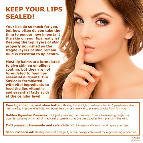 Shea Terra Organics E Lip Savior | Paraben Free Shea Butter Lip Balm - Premium Quality Natural Lip Moisturizer - Therapeutic Remedy For Dry Lips - 0.5 Oz (Menthe Vanilla) #TOP2