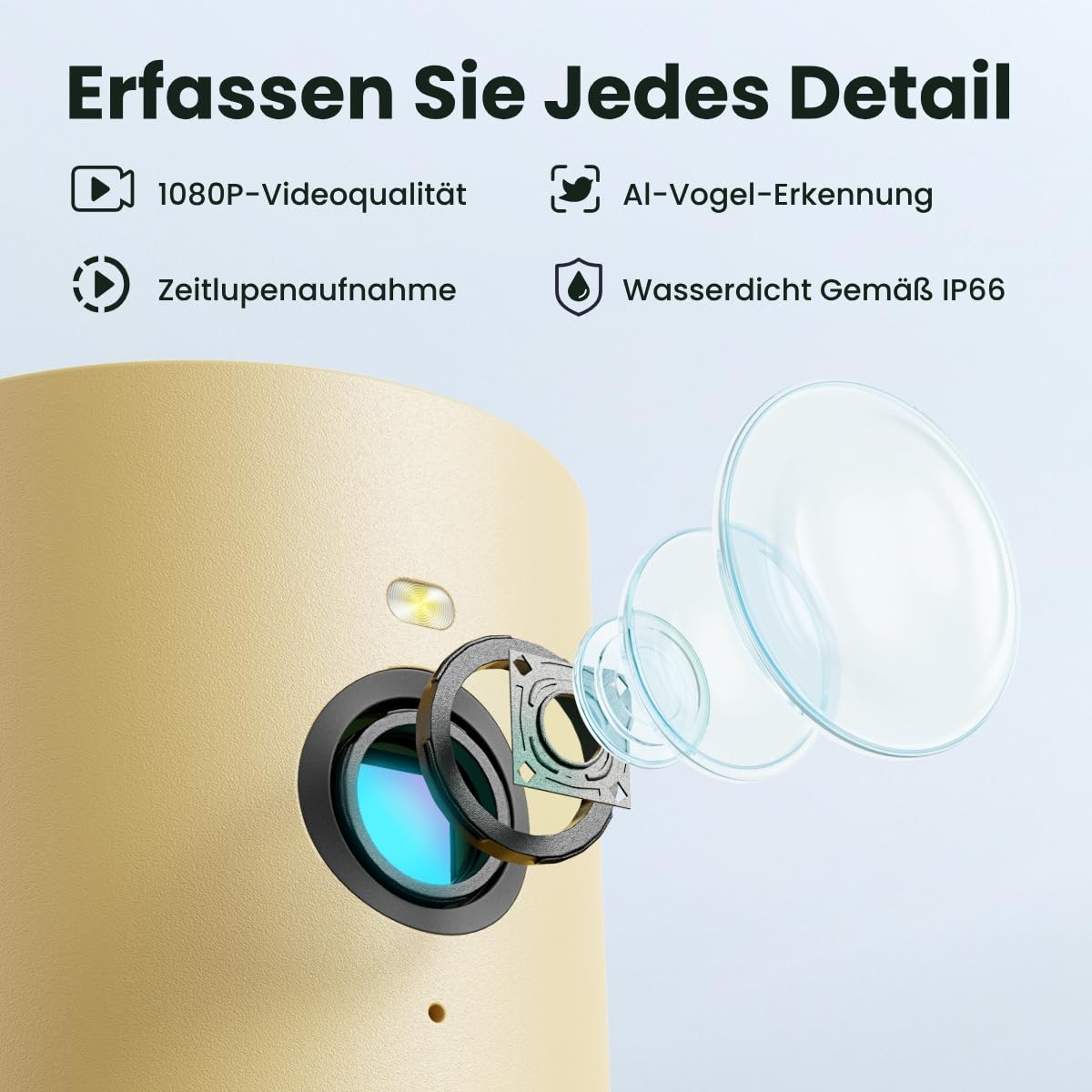 Birdfy Smart Vogelfutterhaus mit Kamera für Anfänger, Solarbetriebener Vogelfutterautomat für den Außenbereich mit doppelter Nachtsicht, KI Vogelerkennung kostenlos, Zeitlupe und Schutzklasse IP66