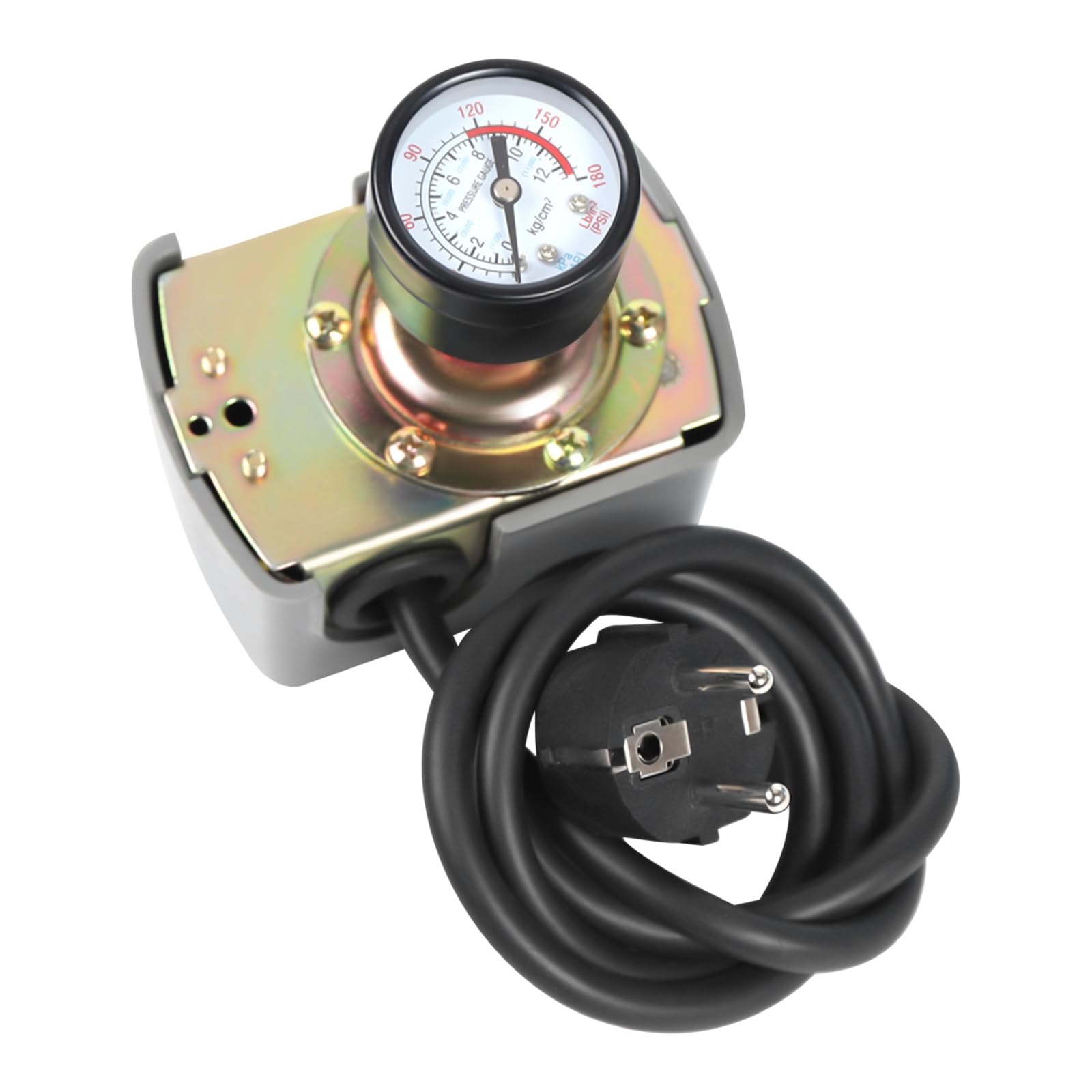 Pompe centrifuge de jardin 1300 W - En acier inoxydable - Avec manomètre - Interrupteur de pression - Disjoncteur de protection du moteur - Pompe centrifuge à 5 niveaux - Pression maximale : 9,8 bar -