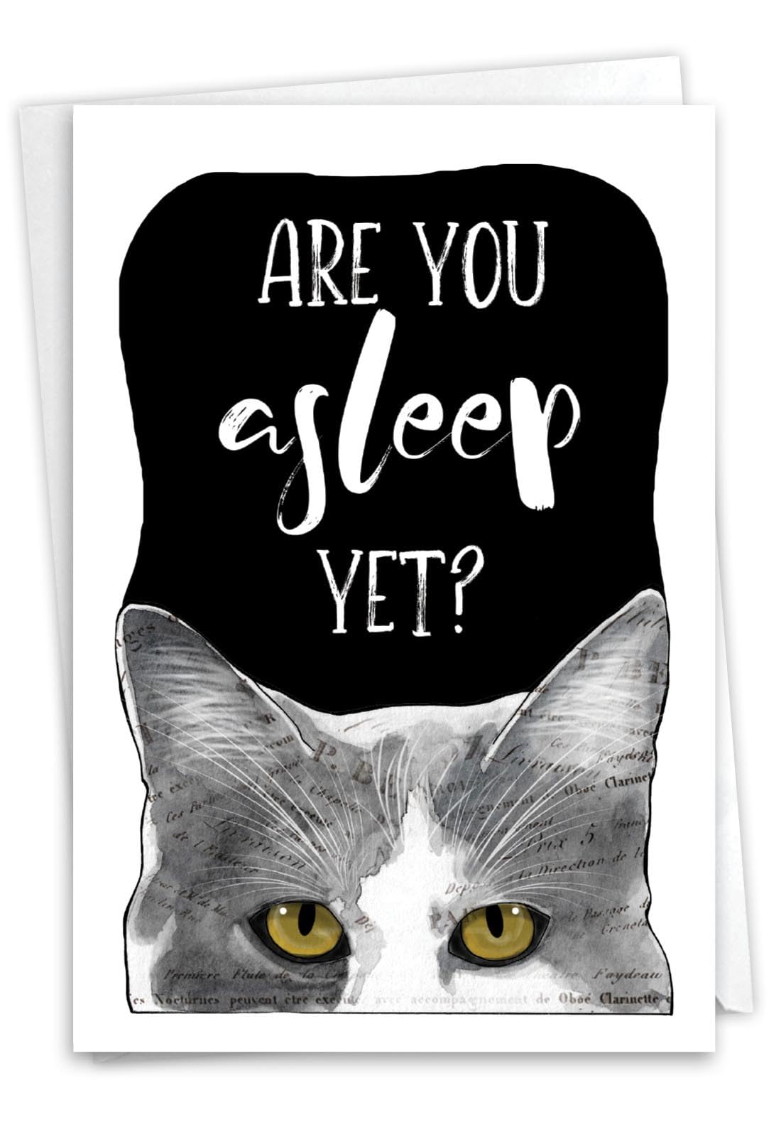 NobleWorks, Funny Birthday Greeting Card with 5 x 7 Inch Envelope (1 Card) Bday Cat Antics - Asleep C3638IBDG — image 1