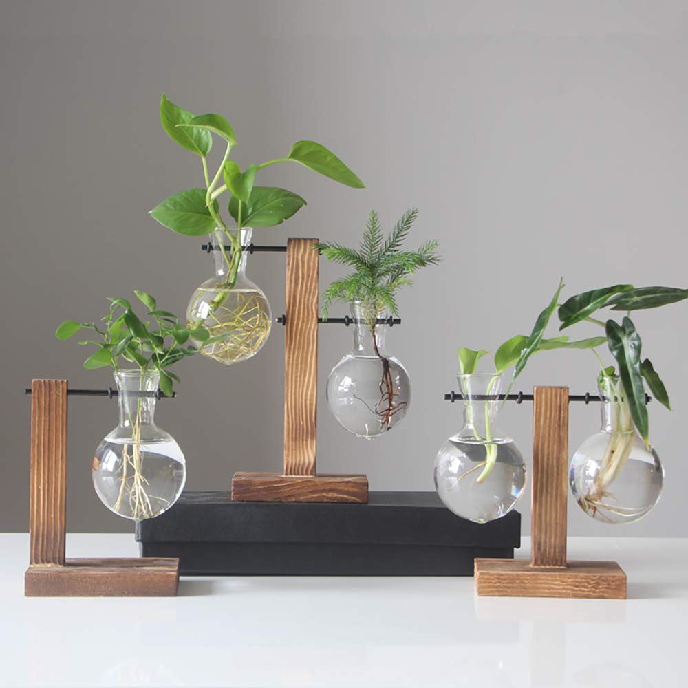 Buy Eyourlife Water Planting Glass Vase Double Clear Glass Vases Hanging Plant Terrarium with