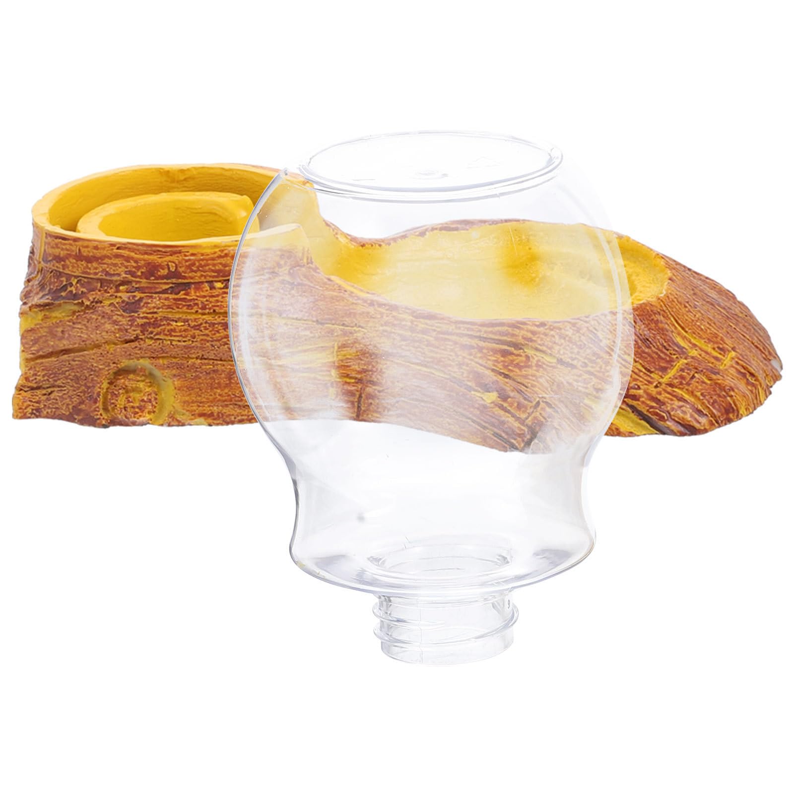 Dispensador de agua para reptiles evita vuelcos en terrarios de tortugas
