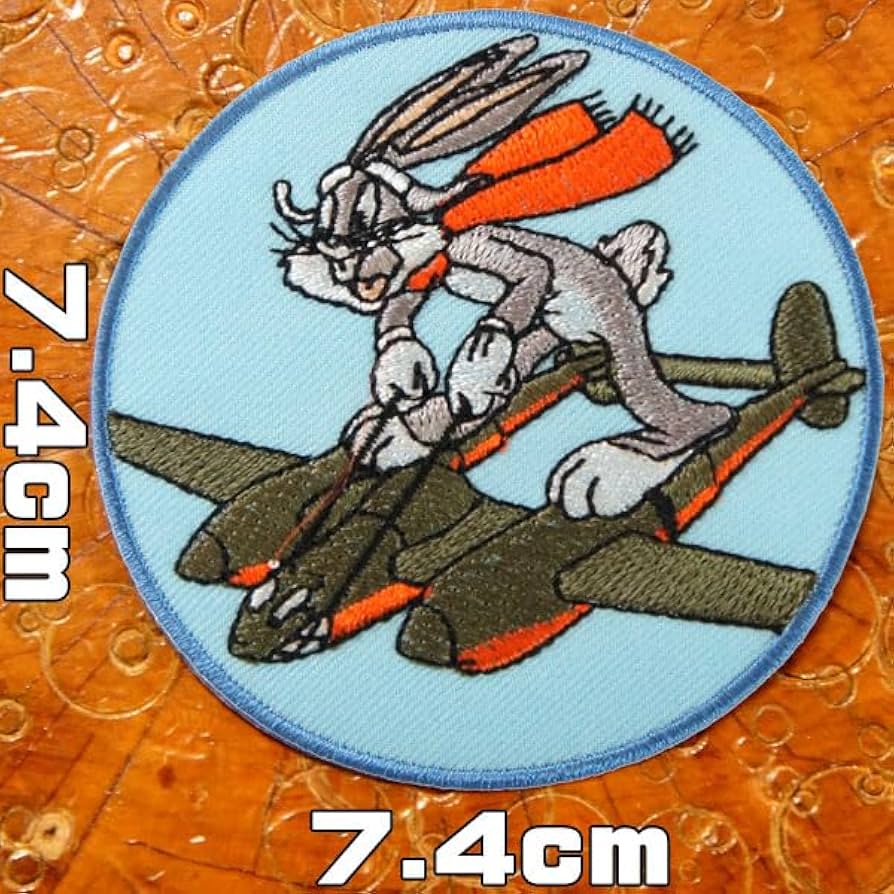 Amazon.co.jp: アメカジミリタリーワッペン【P-38ライトニング