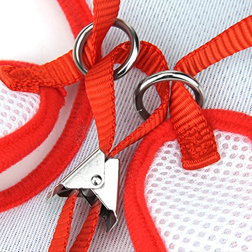 Layboo Soft Handsome Collar Rabbit Little Dogs Cats Harness With Leash Size (S, Black) #TOP2