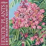 Browntrout Verlags GmbH