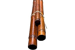 Pack of 3 Bamboo Sticks - 6 Feet for Plants