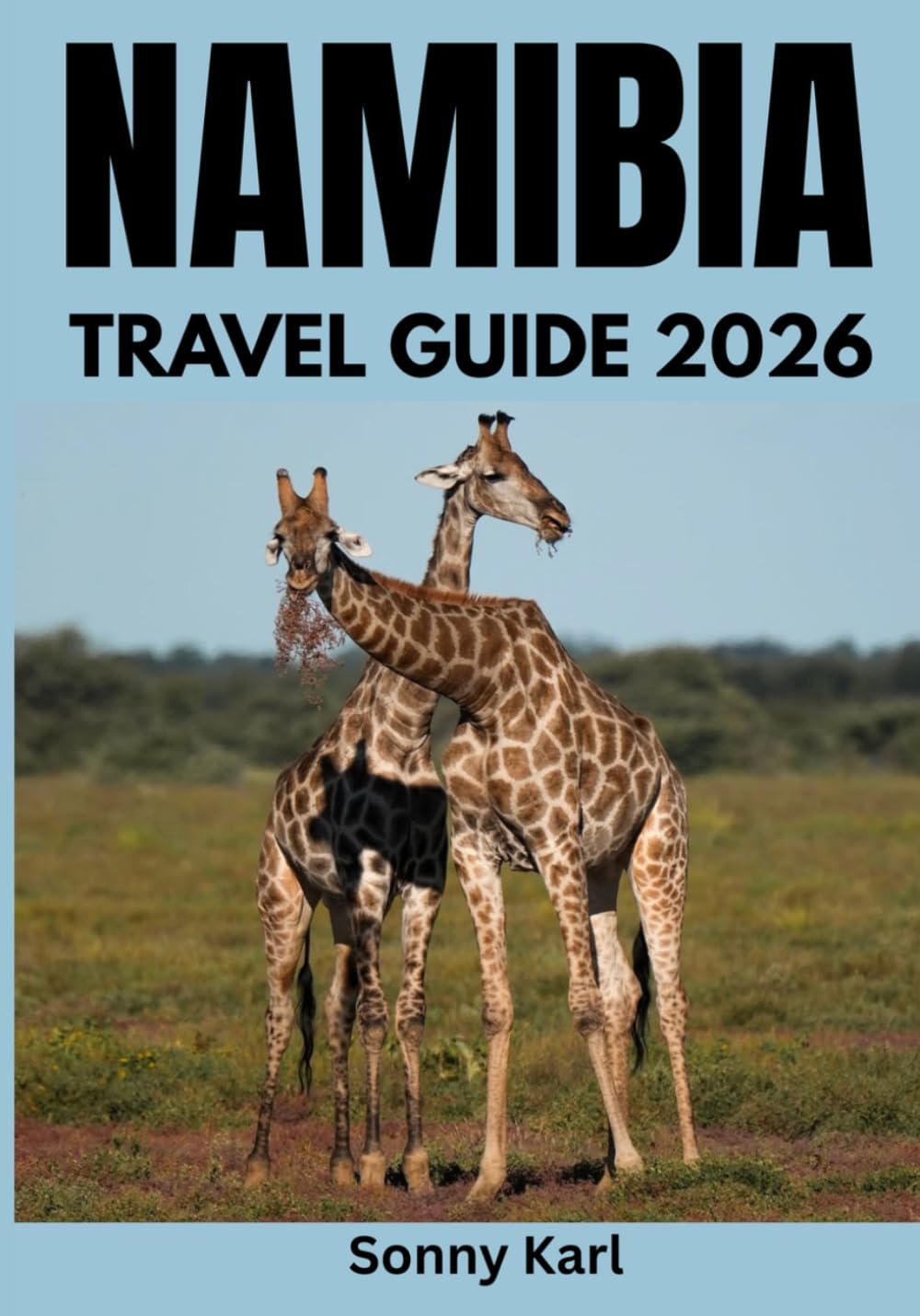 NAMIBIA TRAVEL GUIDE 2026