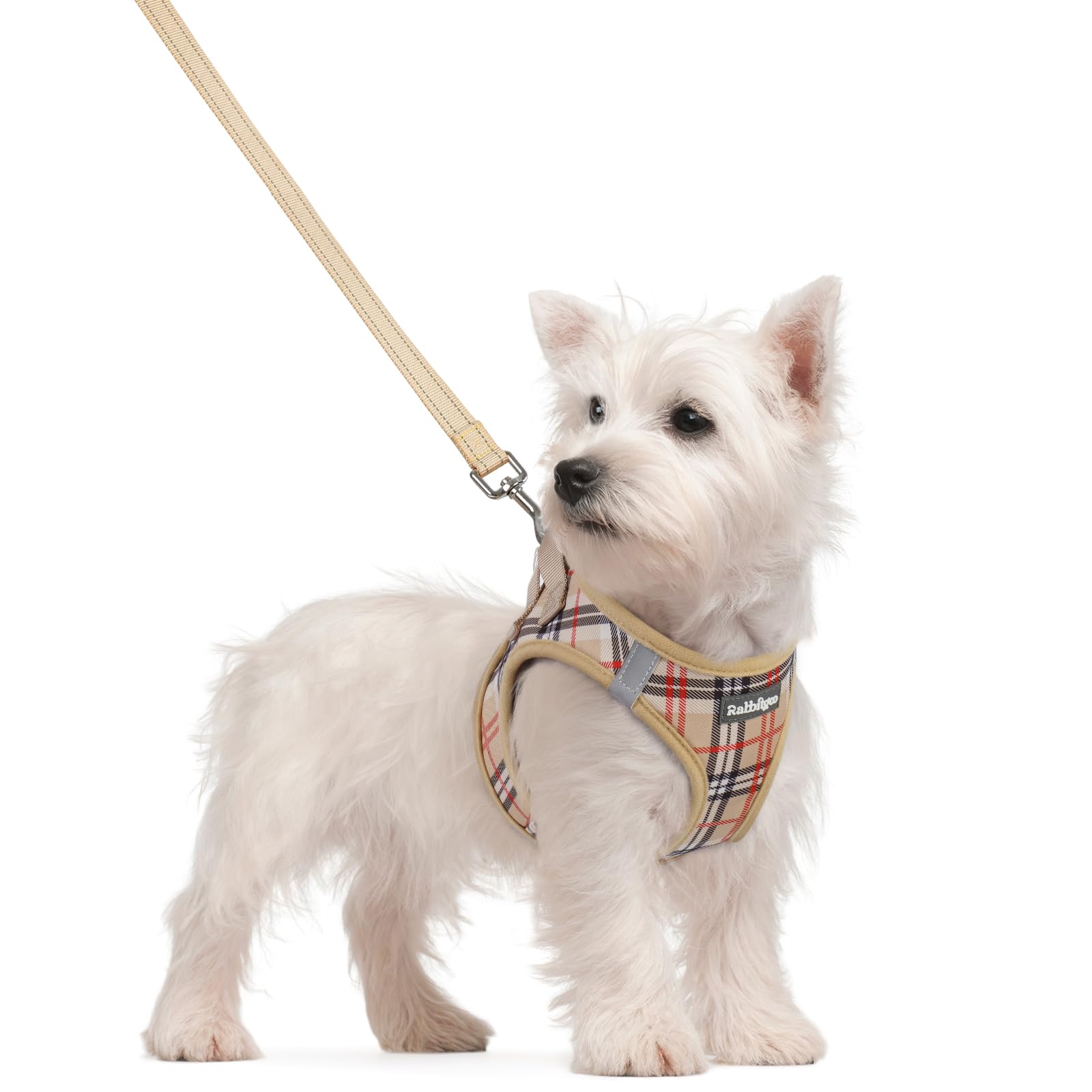 rabbitgoo Dog Harness Small Sized and Leash Set, Step-in Puppy Pet Vest