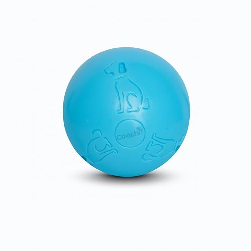 Coachi Pelota para Perros Boomi Ball