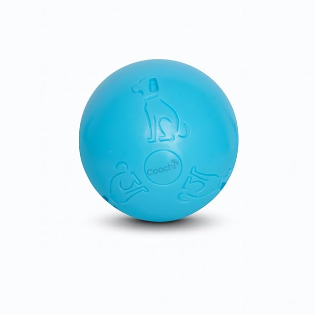 Coachi Pelota para Perros Boomi Ball