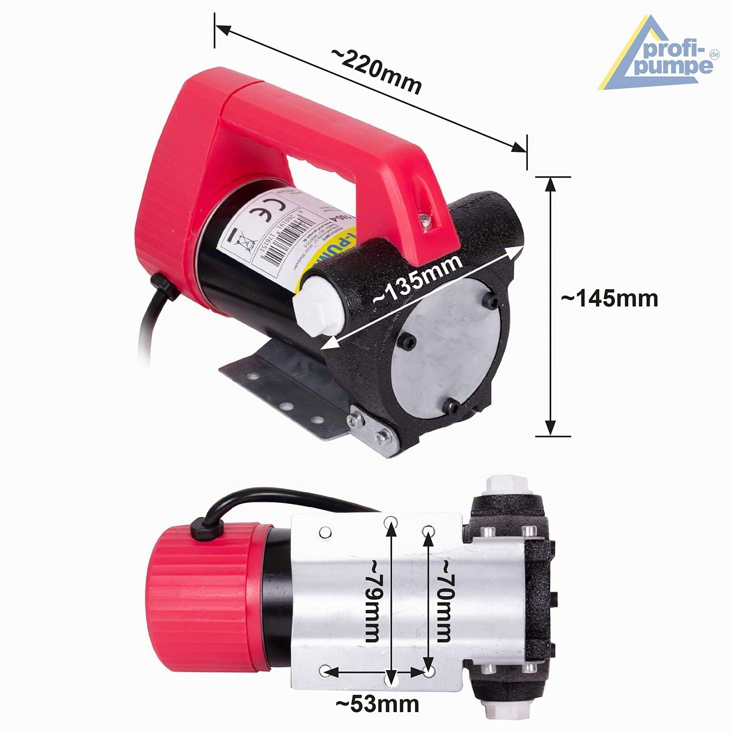 AMUR Pompa GASOLIO Pompa TRAVASO GASOLIO ELETTROPOMPA Diesel Star 160-4 per Fasi di rifornimento/svuotamento Serbatoi! Pompa di ASPIRAZIONE Portatile!! (Diesel Star 160-12V avec accessoires paquet 3)