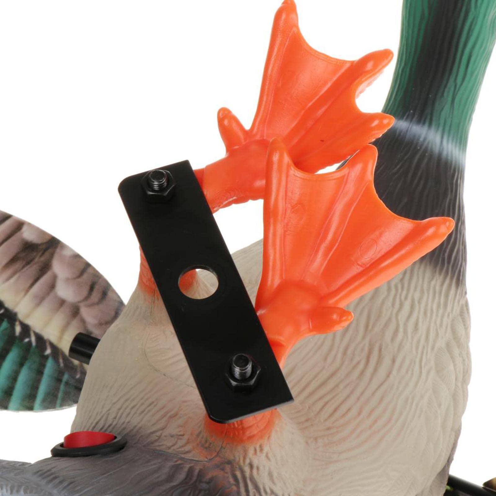 Esca Elettrica per Anatra Mallard con Telecomando