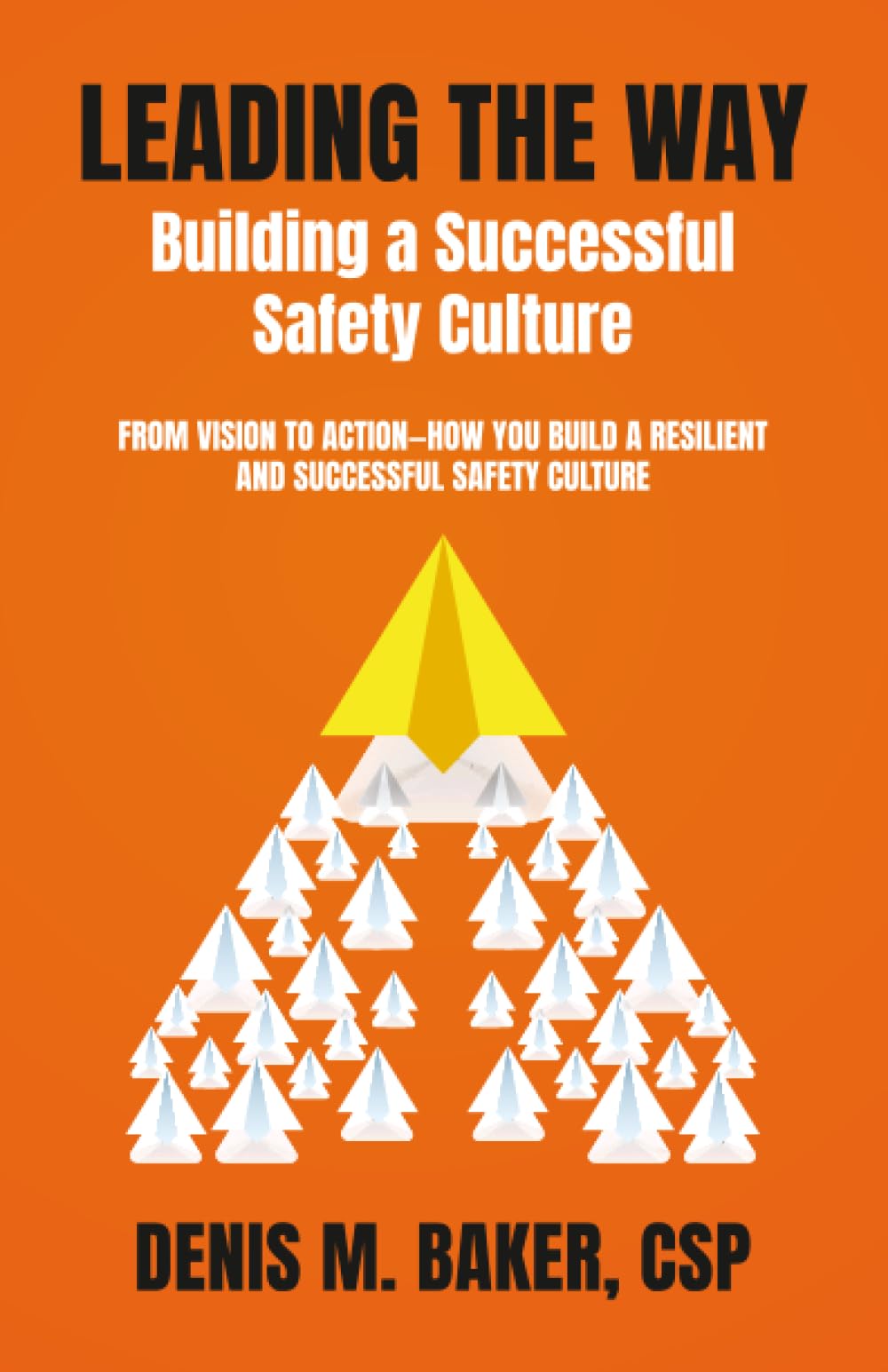 Leading the Way Building a Successful Safety Culture: From Vision to Action-How You Build a Resilient and Successful Safety Culture