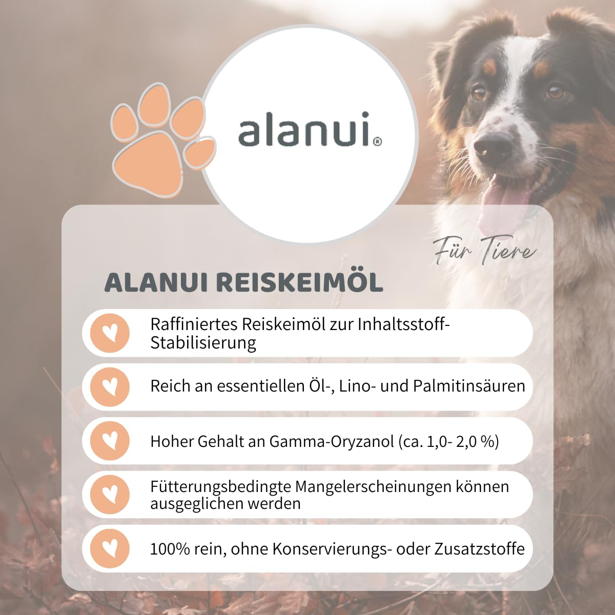 alanui Reiskeimöl für Hunde, raffiniert, 2 x 500 ml Dosierflasche