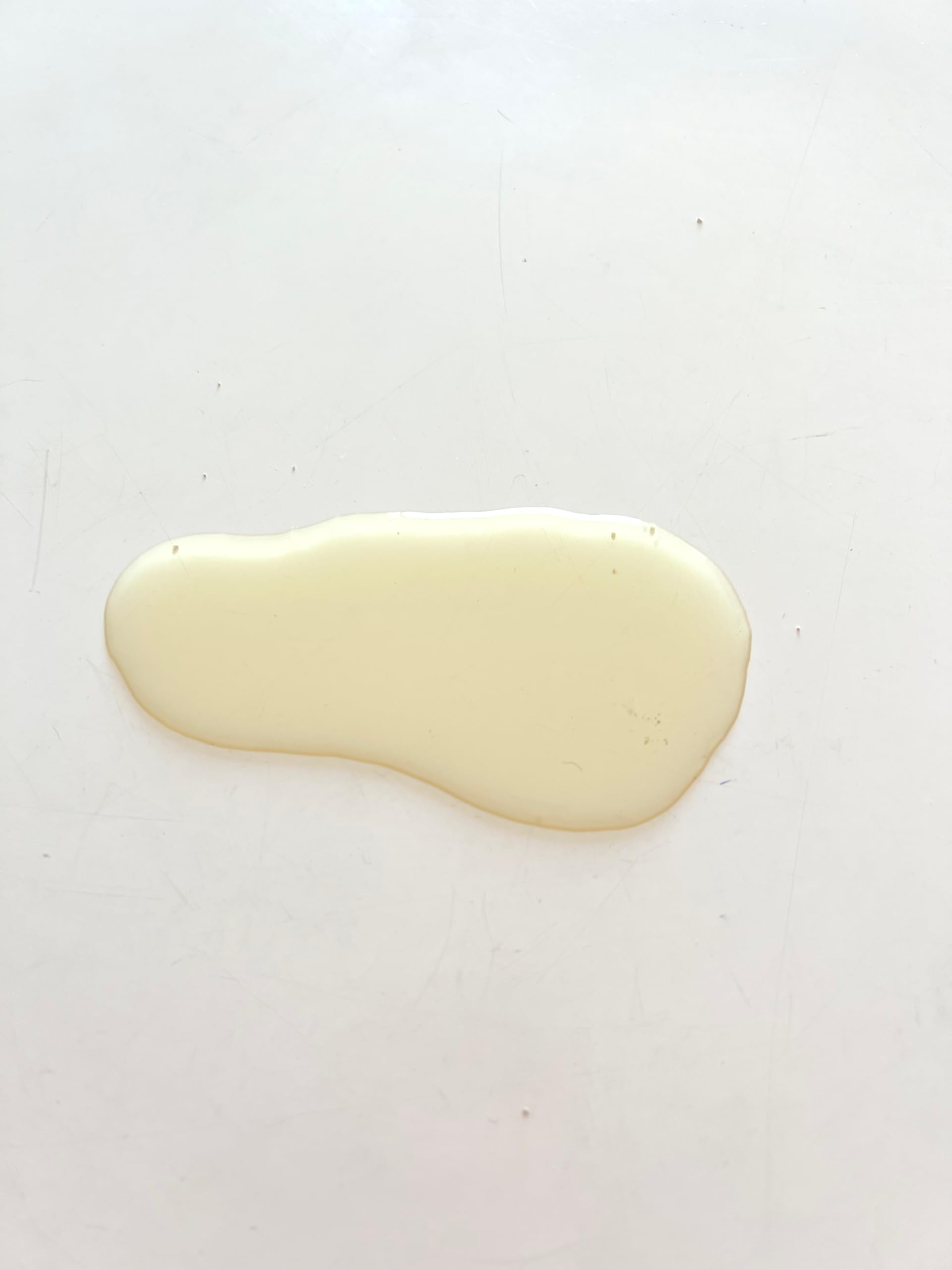 ABSORB XXL Poudre Super Absorbante Vomi, Urine et Liquides | Gélifiant Rapide et Solidifiant Parfumé à l’Eucalyptus | Pour Animaux, Enfants et Mal des Transports | Lot de 2 Bouteilles de 1L