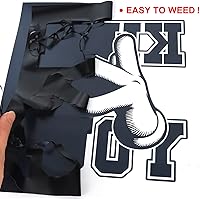 Vista 4 de TUMIYA HTV Heat Transfer Vinyl Rolls - 12" x 30 Ft HTV Vinyl, Black Iron on Vinyl DIY Design for T-Shirt (Black)