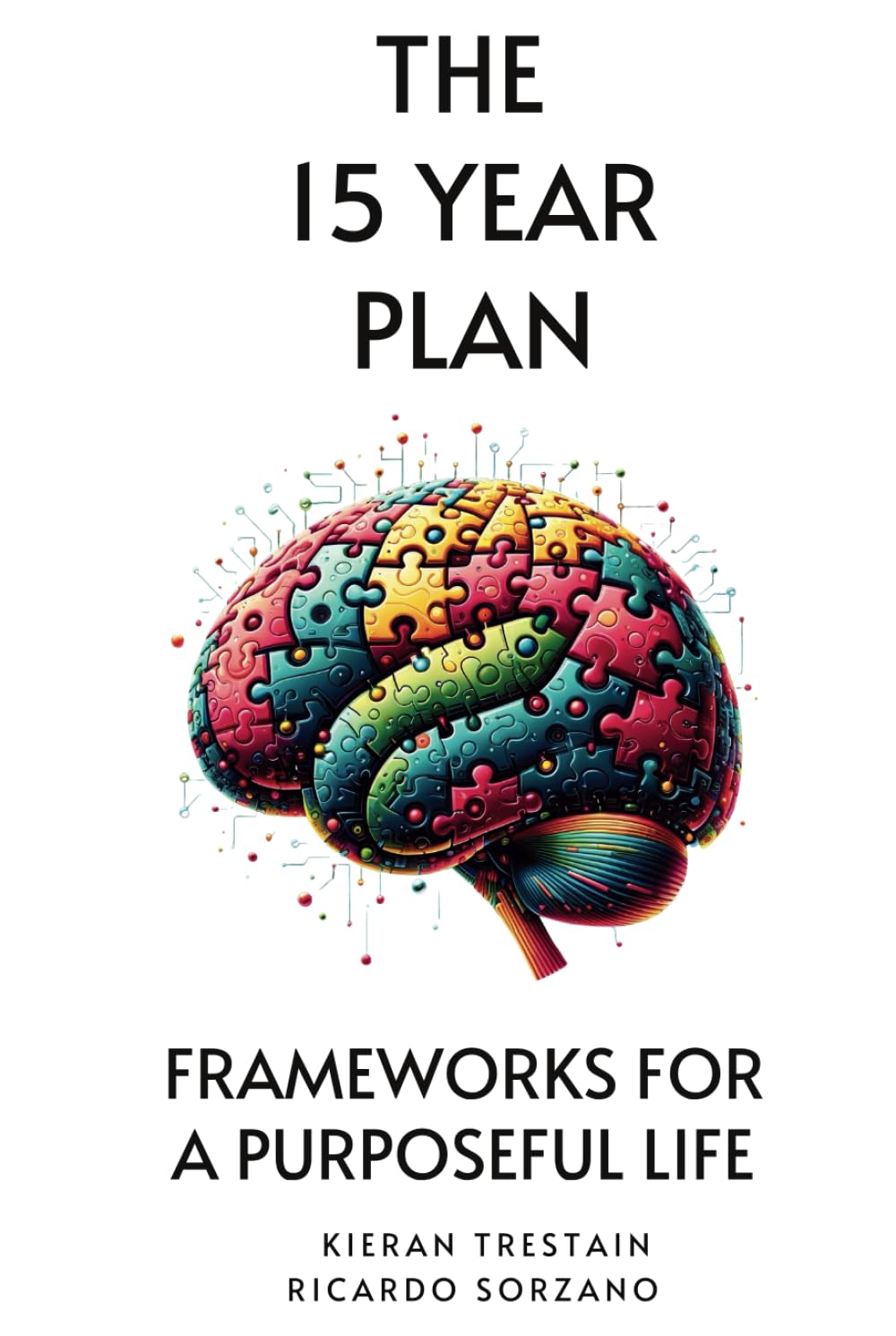The 15 Year Plan: Frameworks For A Purposeful Life Hardcover – 15 Jan. 2024
