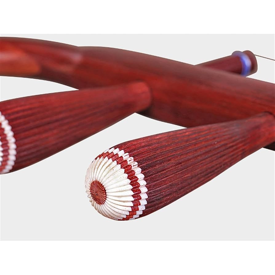 Amazon | 小葉ローズウッド標準六角二胡プロ無垢材軸二胡国家