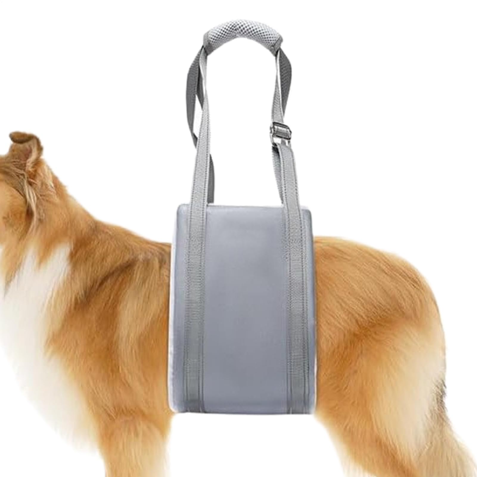 Harnais pour chien soutien arrière jambes rembourré grand chien handicapé