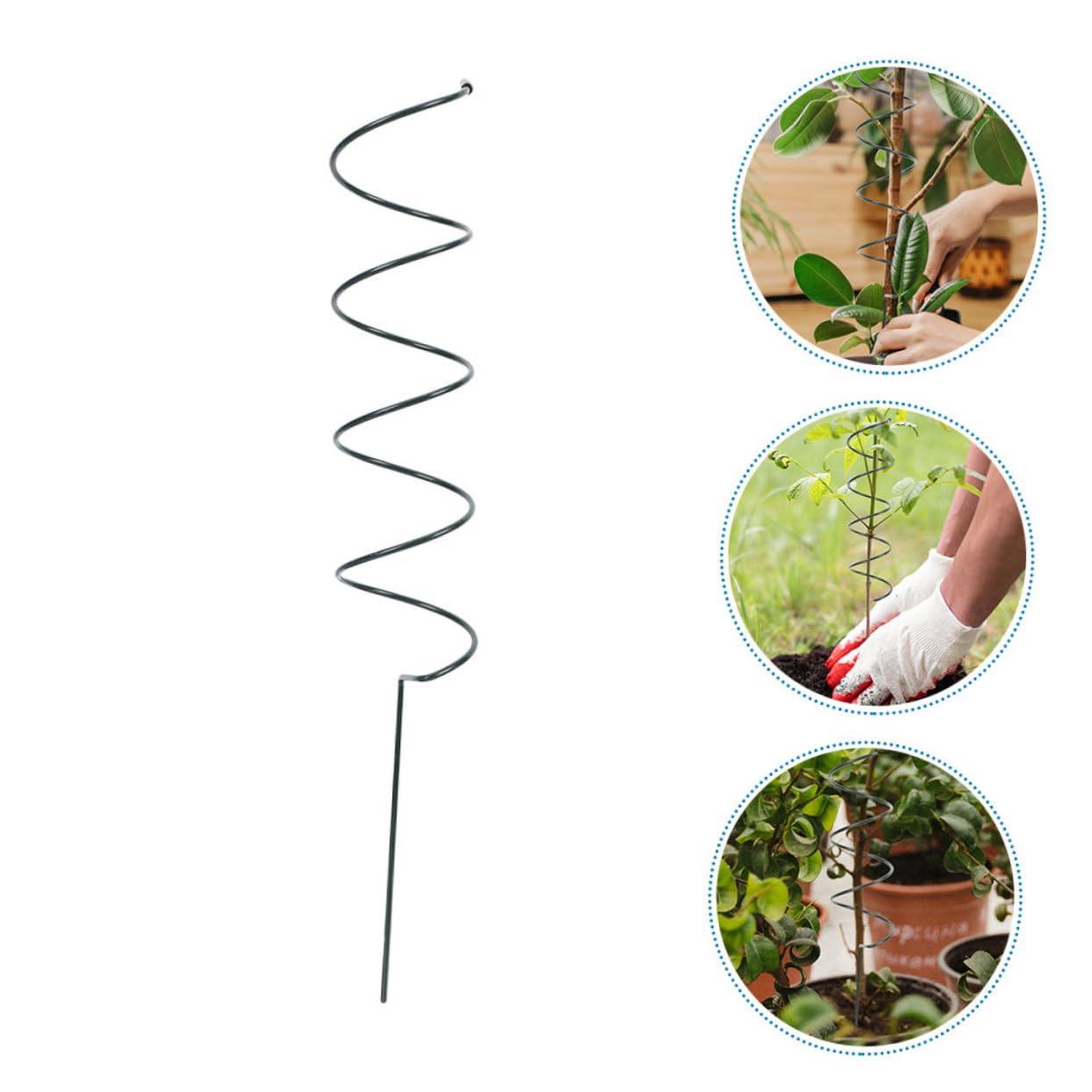 Toyvian 8 Pièces Supports Spirale pour Plantes Lot de Tuteurs de Jardin pour Tiges de Fleurs et la de Hauteur Design Stable et Durable